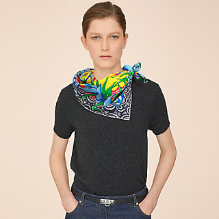 La Marche du Zambeze scarf 90 | Hermès Singapore